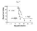Fig. 07 - Compositions and methods to elicit immune responses against pathogenic organisms using yeast-based vaccines