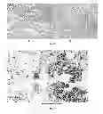 Fig. 09 - INFLAMMATION-REGULATING COMPOSITIONS AND METHODS