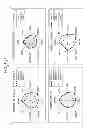 Fig. 02 - Roasted mixture and method for producing a beverage using same
