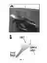 Fig. 02 - Surface-independent, surface-modifying, multifunctional coatings and applications thereof