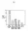 Fig. 02 - Multi-component thermal spray coating material and production method and coating method thereof
