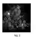 Fig. 05 - YARN FILAMENT AND METHOD FOR MAKING SAME