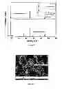 Fig. 02 - Two-phase positive electrode material for a lithium battery and method for the synthesis of same