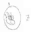 Fig. 06 - Solid Fuel Burning System and Method