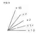 Fig. 06 - International Celeration Project