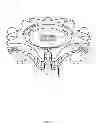 Fig. 03 - SYSTEMS AND METHODS FOR PROVIDING COUPLABLE ORNAMENTS