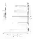 Fig. 07 - MOLECULAR DIAGNOSIS AND CLASSIFICATION OF MALIGNANT MELANOMA