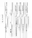 Fig. 19 - MOLECULAR DIAGNOSIS AND CLASSIFICATION OF MALIGNANT MELANOMA