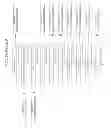 Fig. 30 - MOLECULAR DIAGNOSIS AND CLASSIFICATION OF MALIGNANT MELANOMA