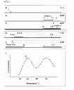 Fig. 06 - Detecting mutations in DNA