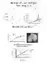 Fig. 07 - NEOPLASTIC CELLS GROWN ON DECELLULARIZED BIOMATRIX