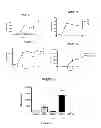 Fig. 10 - NEOPLASTIC CELLS GROWN ON DECELLULARIZED BIOMATRIX