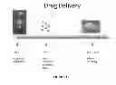 Fig. 11 - NEOPLASTIC CELLS GROWN ON DECELLULARIZED BIOMATRIX