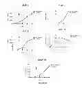 Fig. 16 - NEOPLASTIC CELLS GROWN ON DECELLULARIZED BIOMATRIX
