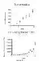 Fig. 24 - NEOPLASTIC CELLS GROWN ON DECELLULARIZED BIOMATRIX