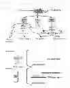 Fig. 02 - Method for screening substance relating to endoplasmic reticulum stress participating in onset of diabetes