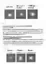 Fig. 07 - Method for screening substance relating to endoplasmic reticulum stress participating in onset of diabetes