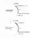 Fig. 09 - Method for screening substance relating to endoplasmic reticulum stress participating in onset of diabetes