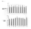 Fig. 13 - Method for screening substance relating to endoplasmic reticulum stress participating in onset of diabetes