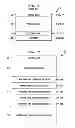 Fig. 02 - Photoreceptor with improved blocking layer
