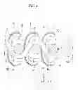 Fig. 06 - Connector