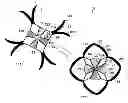 Fig. 01 - Environmentally responsive fibers and garments