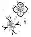 Fig. 02 - Environmentally responsive fibers and garments