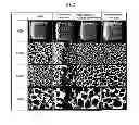Fig. 03 - CONDITIONER FOR SOFT PAD AND METHOD FOR MANUFACTURING SAME