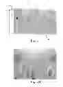 Fig. 04 - Coated abrasive article with foam backing and method of making