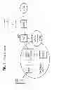 Fig. 02 - Method for the determination of a receiver for location information