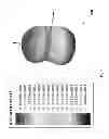 Fig. 08 - Device, system and method of communicating via a dual directional antenna