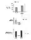 Fig. 08 - Regulating stem cells