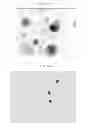 Fig. 11 - Regulating stem cells