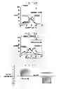 Fig. 13 - Regulating stem cells