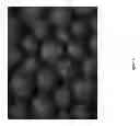 Fig. 07 - Spherical pellets containing common clay particulate material useful as a proppant in hydraulic fracturing of oil and gas wells