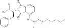Fig. 09 - Methods of treating ophthalmic diseases using NPR-B agonists