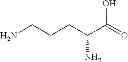 Fig. 199 - Methods of treating ophthalmic diseases using NPR-B agonists