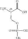 Fig. 216 - Methods of treating ophthalmic diseases using NPR-B agonists