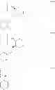 Fig. 256 - Methods of treating ophthalmic diseases using NPR-B agonists