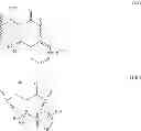 Fig. 258 - Methods of treating ophthalmic diseases using NPR-B agonists
