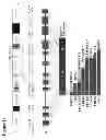 Fig. 02 - Detecting and treating dementia