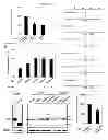 Fig. 03 - Detecting and treating dementia