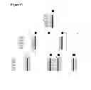 Fig. 14 - Detecting and treating dementia