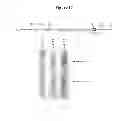 Fig. 18 - Detecting and treating dementia