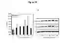 Fig. 23 - Detecting and treating dementia