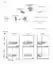Fig. 02 - COMPOSITIONS COMPRISING RECOMBINANT COWPOX VIRUS PROTEIN CPXV014