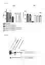 Fig. 06 - COMPOSITIONS COMPRISING RECOMBINANT COWPOX VIRUS PROTEIN CPXV014