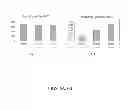 Fig. 07 - Modulators for SIRT6 and assays for screening same