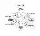 Fig. 19 - Methods of treating hepatic encephalopathy