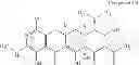 Fig. 239 - 8-AZA tetracycline compounds